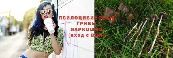герыч Абаза