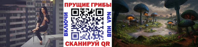 Псилоцибиновые грибы прущие грибы  Староминская 